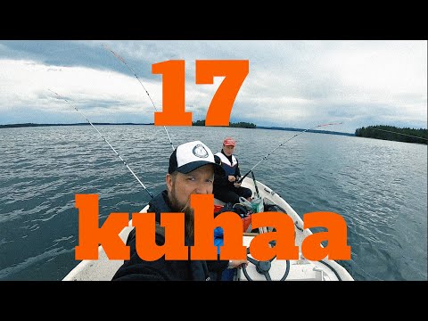 Harri Kalassa - Jakso 16 - 17 Kuhaa