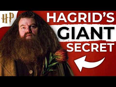 Fact or Fantasy and Fact or Fantasy | Harry Potter