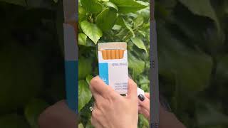 Smoking Cigarettes After? Quit Smoking Cigarettes With Honey Rose #Blue Non Flavored Herbal Smokes