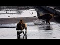 Badmash Bandariya Naughty Baby Monkey Gives Its Macaque Mother A Tough Time In Meerut