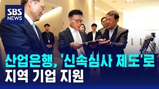 산업은행, '신속심사 제도'로 지역 기업 지원 / SBS / 경제365