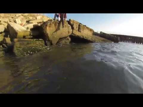 Work&Travel Program by USonion