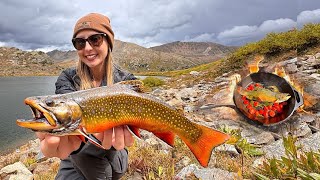 High Country Catch & Cook Wild Trout on River Bank! (Elevation 12,000ft.)