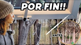 Más PRIVACIDAD en la mobile home 🌿 Transformo todo este pasillo de cipreses. Vlog264