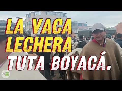 Feria ganadera en Tuta Boyacá Colombia.