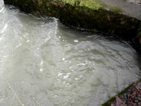 video-aubonne-01.01.2010-lacustre 0.3.MPG