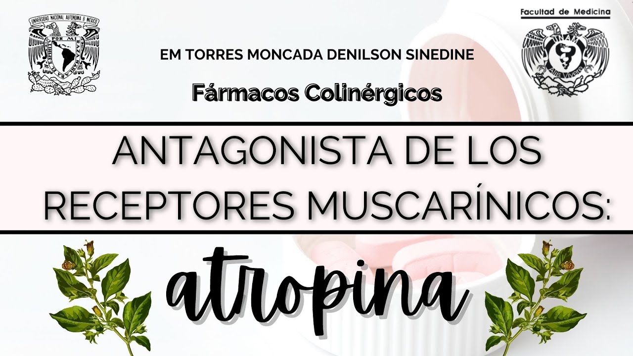 ATROPINA: ANTAGONISTA DE LOS RECEPTORES MUSCARÍNICOS