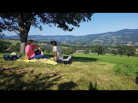 Berggespräche im NUP Pöllauer Tal