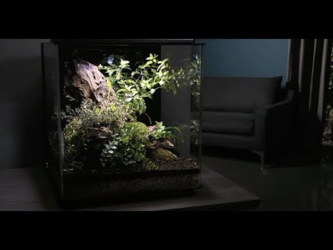 Watch Video on YouTube