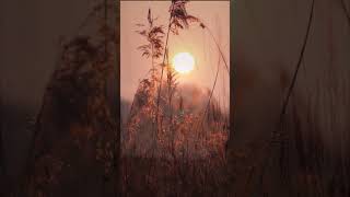 Best Relax Music.Relaxing Guitar Music.Romantic Guitar.Instrumental Music.Music For Stress Relief