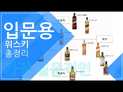 [위스키 인포그래픽] 입문용 위스키를 총정리해주는 영상자료