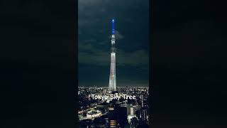 【東京】#スカイツリー #tokyoskytree #夜景 #nightview #のだくみこ
