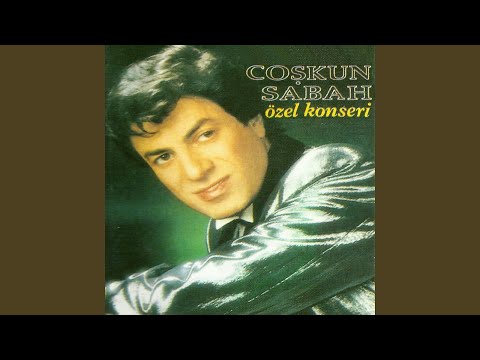 Seni Seviyorum Anlıyormusun