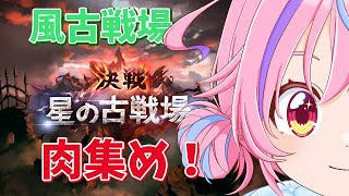 【グラブル】＃27 シエテ剣間に合わなかった民の古戦場肉集め【＃Vtuber】