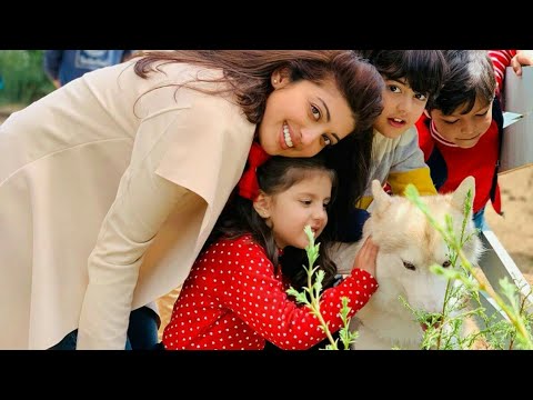actress pranitha looks so beautiful with pets
