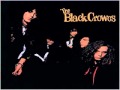 The Black Crowes - Thick 'n' Thin.wmv