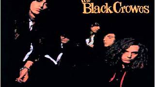 The Black Crowes - Thick &#39;n&#39; Thin.wmv