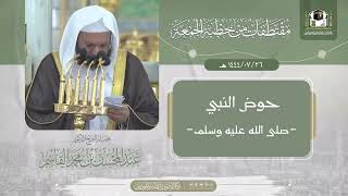 صورة حوض النبي ﷺ