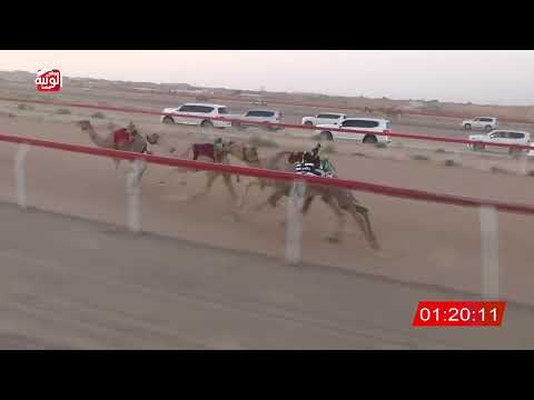  ش 4 (شاهين) لـ سعيد بن حمد بالطير العامري 3:11 ، شارة صندوق الحلفه 2026/07/26 فطامين الجبيب
