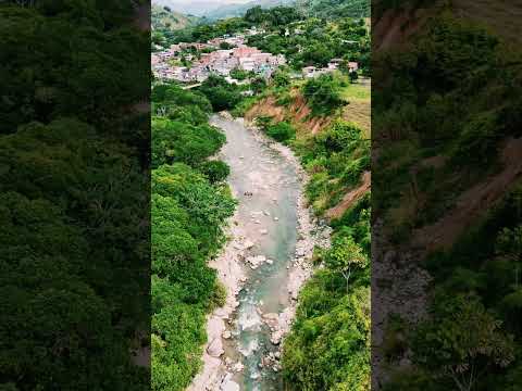 #pimpenela #cisneros #antioquia