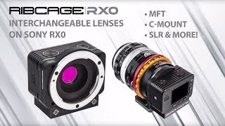 RIBCAGE RX0 - Footage Sample 1
