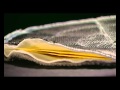 Unternehmensfilm SOLUTION Glöckner