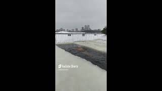 From the Life of Russian Walruses. If you want to be healthy, toughen up! Fragment MZH 2a