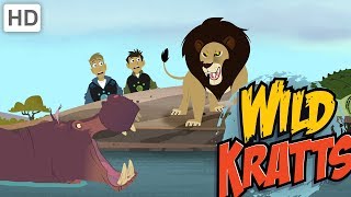 Wild Kratts - Top African Wildlife