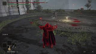[エルデンリング]少しタイマン