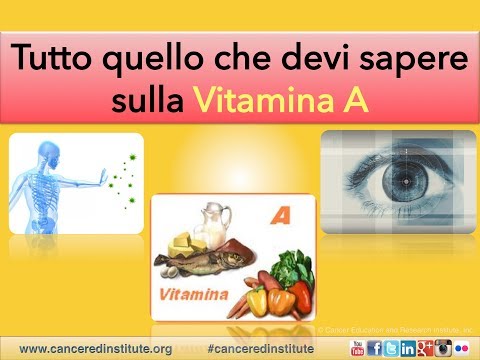 TUTTO QUELLO CHE DEVI SAPERE SULLA VITAMINA A | Cancer Education & Research Institute