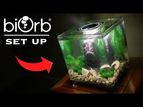 Watch Video on YouTube