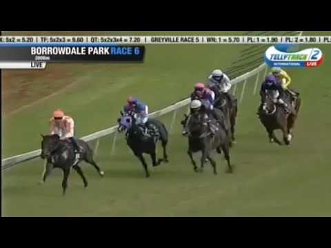 2017.03.19 Breeders Champions Cup (ZIM) - Comanche Brave