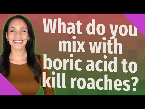 What do you mix with boric acid to kill roaches?