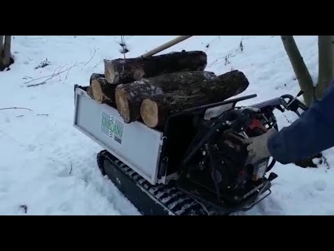 Motocarriola Cingolata GIOR 600 Honda in Bosco Innevato Cassone Agricolo Forestale da Giordano Cairo