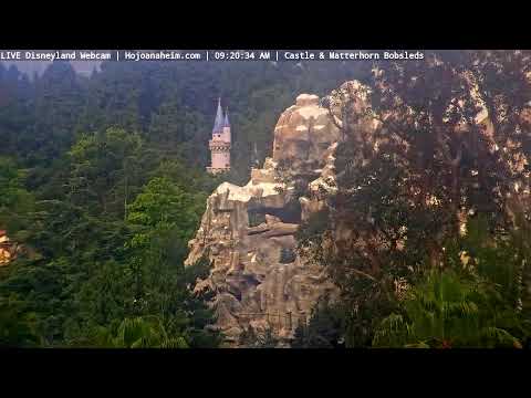 Live webcam of Disneyland Cam