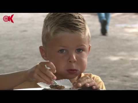 Braderie Stolwijk 2016