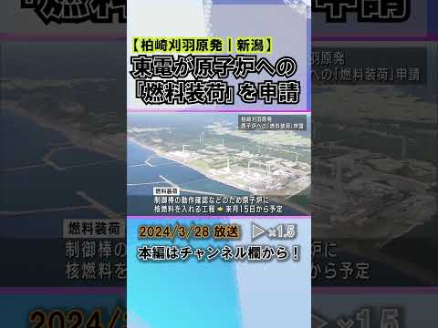 スイスの原子力産業 - 定義