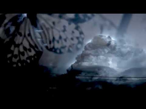 EXILIA - Butterflies And Storm - Teaser (Closer - Purity)