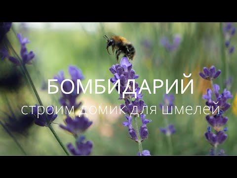 Изготовление улья для шмелей / Бомбидарий /Beehive Bumblebee / Деревообработка