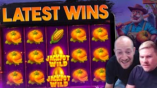 Latest Online Slot Big Wins! Cat Clans 2, Dead Or Alive 2 And MORE! Video Video