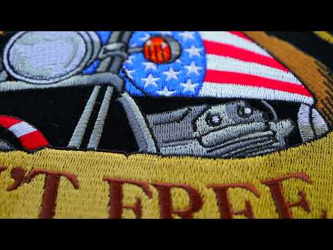 Freedom isn't free eagle