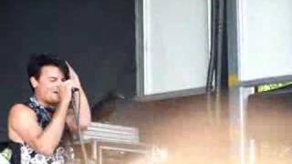 the matches-little maggots