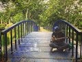 Last Known Surroundings - No Strawberry
