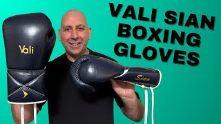 VALI SIAN BOXING GLOVES FULL REVIEW
