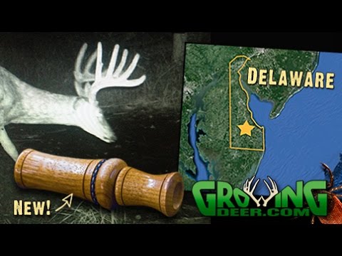 Tips For Deer Hunting And Improving A 90 Acre Hunting Property (#343) @GrowingDeer.tv