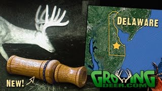 Tips For Deer Hunting And Improving A 90 Acre Hunting Property (#343) @GrowingDeer.tv