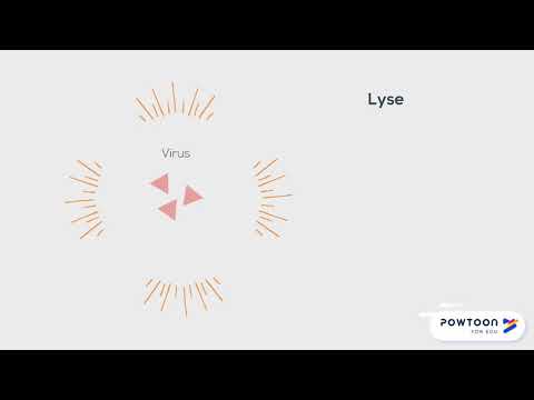 Unspezifische humorale Abwehr