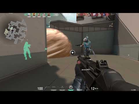 "Dominating Victory: Epic Round Win in Valorant!"