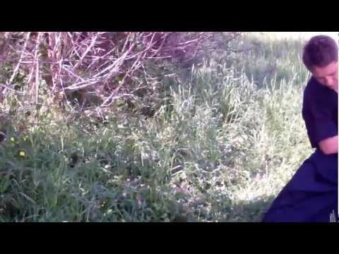 Hiten Mitsurugi-ryū