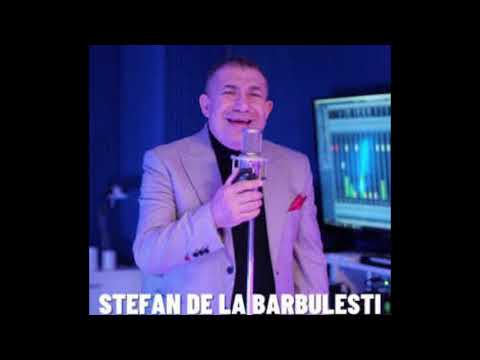 STEFAN DE LA BARBULESTI-SUNT SINGUR PE MANA MEA